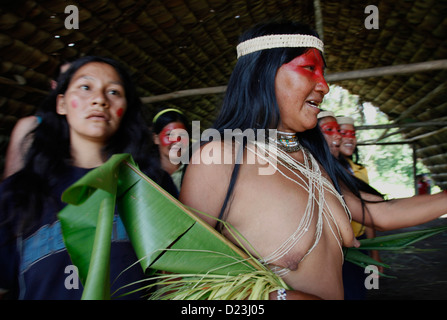 Les Huaorani natifs d'utiliser l'éco-lodge et se tiennent contre les multinationales du pétrole dans le Parc National Yasuní, Amazon, Equateur Banque D'Images