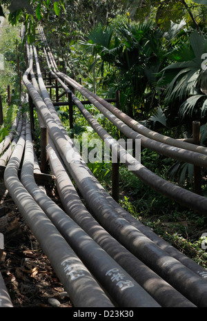 Société multinationale d'huile entraînant une pollution dans le Parc National Yasuní, Amazon, Equateur Banque D'Images