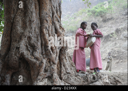 Zala Zembaba, l'Ethiopie, deux filles sont à un grand vieil arbre Banque D'Images