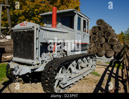 Le Train à vapeur dans la région de Laona bûcheron, le Wisconsin est un ancien train à vapeur qui entraîne les visiteurs au Camp 5 Camp de bûcherons. Banque D'Images