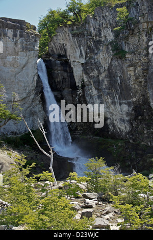 Chorrillo del Salto, le Parc National Los Glaciares, Patagonie, Argentine Banque D'Images