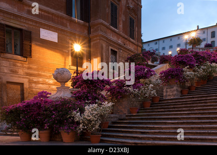 Rome, Italie, les fleurs sur la place d'Espagne Banque D'Images