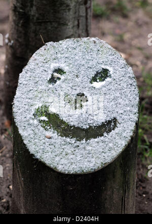 Brighton Sussex UK 14 Janvier 2013 - face enneigée dans le Queens Park Brighton après une fine couche de neige la nuit Photo prise par Simon Dack/Alamy Live News Banque D'Images