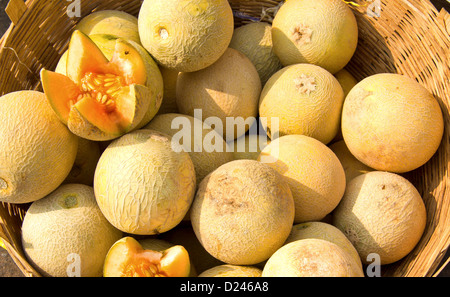 MELONS ET UNE GRANDE VARIÉTÉ DE FRUITS ET DE LÉGUMES À VENDRE SUR UN MARCHÉ DANS LE SUD DE L'INDE Banque D'Images