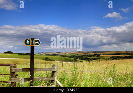 Un sentier public et bridleway signe sur l'downs près du village de Alvediston dans le Wiltshire, Angleterre. Banque D'Images