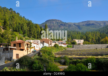 Village de Vilaflor parmi une forêt de pins dans la montagne à Tenerife, dans les îles Canaries. Banque D'Images