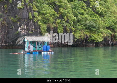 Une seule maison fait partie d'un des villages de pêcheurs flottant autour de Cat Ba Island, Vietnam Banque D'Images