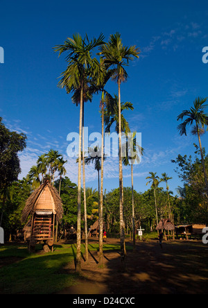 Maison de l'igname, les îles Trobriand, Papouasie Nouvelle Guinée Banque D'Images