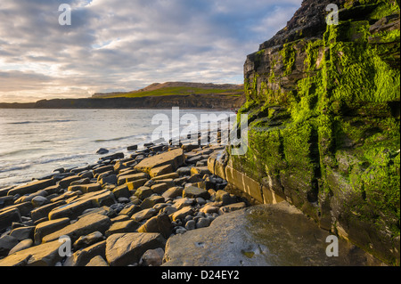 Côte Jurassique Kimmeridge Bay Dorset UK Banque D'Images