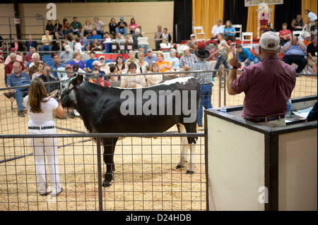 Les jeunes montrent à 4H et en concurrence avec le bétail Maryland State Fair à Linthicum MD Banque D'Images