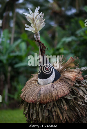 Danse avec Tubuan Duk Duk masque géant, Rabaul, East New Britain, Papouasie Nouvelle Guinée Banque D'Images