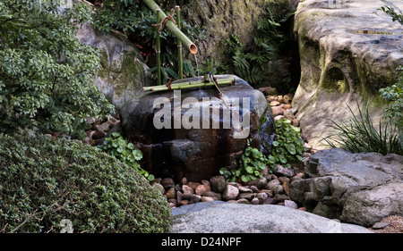 Une pierre tsukubai ou un bassin d'eau pour le lavage rituel dans les jardins 20c du Musée d'Art d'Adachi, Matsue, Japon Banque D'Images