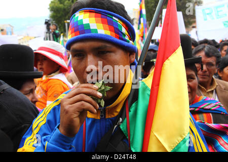 LA PAZ, BOLIVIE, 14 janvier. Un cultivateur de coca portant un bandeau wiphalal et tenant le drapeau national mâche des feuilles de coca pour célébrer la réadhésion de la Bolivie à la Convention unique des Nations Unies sur les stupéfiants de 1961. La Bolivie s'est officiellement retirée de la Convention en 2011 et a fait campagne pour que les clauses interdisant les utilisations traditionnelles de la feuille de coca soient supprimées. À la date limite du 11 janvier 2013, seuls 15 pays (moins que les 62 requis pour bloquer la proposition) avaient déposé une objection à ce que la Bolivie adhère à la Convention avec des dérogations spéciales. La réadhésion entrera en vigueur le 10 février 2013. Banque D'Images