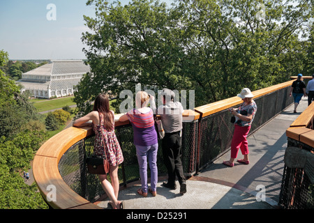 Les visiteurs du Rhizotron et Xstrata Treetop Walkway se tourner vers l'Europe House, Royal Botanic Gardens, Kew, Angleterre. Banque D'Images