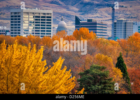 Les arbres colorés et de la ville de Boise Banque D'Images