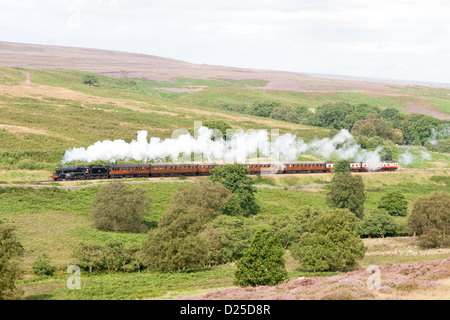 Locomotive à vapeur tirant un train de voyageurs sur le North Yorkshire Moors Railway près de Goathland Banque D'Images