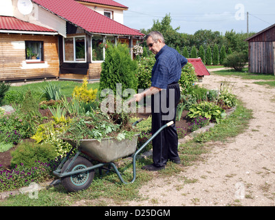 Jardinier principal près de flower bed avec fourche et brouette avec les mauvaises herbes Banque D'Images