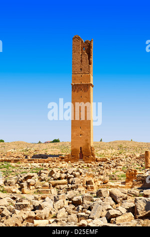 Photos de la tour d'observation astrologique arabe du 8ème siècle de l'Université d'Harran, au sud-ouest de l'Anatolie, la Turquie. Banque D'Images