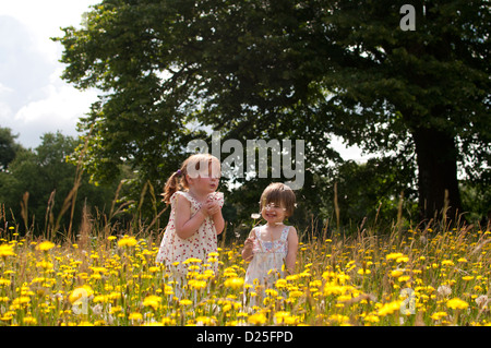 Deux petites filles debout dans une prairie de fleurs sauvages, soufflant horloges pissenlit Banque D'Images