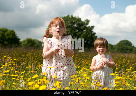 Deux petites filles debout dans une prairie de fleurs sauvages, un souffle un pissenlit réveil Banque D'Images