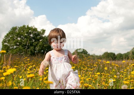 Une petite fille qui marche dans une prairie de fleurs sauvages Banque D'Images