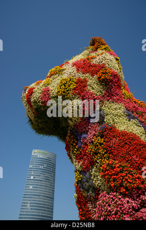 Chien géant de ses sculptures en fleurs, en face de l'entrée du Musée Guggenheim Bilbao, avec Iberdrola office building en arrière-plan. Banque D'Images