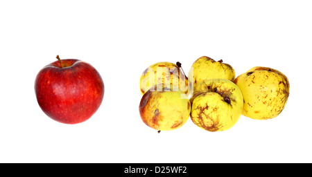 Une bonne pomme rouge mûre à côté du petit groupe de ugly rotten apples isolé sur fond blanc Banque D'Images