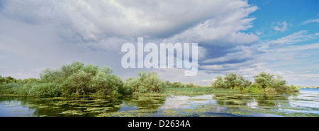 Panorama de lacs et canaux dans le Delta du Danube, Roumanie Banque D'Images