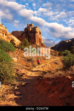 Randonneur, Calf Creek Canyon Trail Banque D'Images