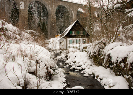 Allemagne, Forêt Noire, Hollsteig. Hofgut Sternen Village de la Forêt-Noire. Scène de campagne d'hiver. Banque D'Images