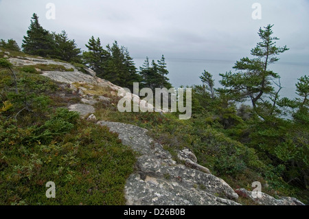 Cape Breton Highlands Parc Nat Banque D'Images