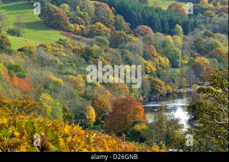 La RIVIÈRE WYE PRÈS DE ERWOOD EN AUTOMNE AVEC DES COULEURS CHANGEANTES DANS LES FEUILLES ET DE FOUGÈRES Banque D'Images