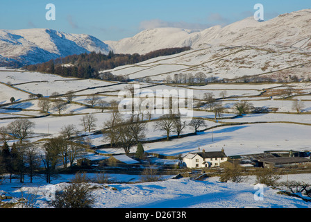 Causeway ferme, Woundale et la vallée de Troutbeck, vu de l'Orrest Head, Parc National de Lake District, Cumbria, Angleterre, Royaume-Uni Banque D'Images