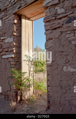 Les mauvaises herbes sont maintenant de plus en plus dans et autour de cette ancienne structure en pierre et d'adobe qui était autrefois la chapelle de Santa Rosa de Lima. Banque D'Images