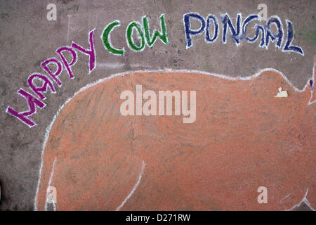 Tamil Nadu, Inde. 15 janvier 2013. Pongal est un quatre-jours-long harvest festival célébré dans le Tamil Nadu, un état du sud de l'Inde, une occasion pour rendre grâce à la nature, pour célébrer les cycles de vie qui nous donnent du grain. Pendant le Pongal festival, les femmes ornent l'entrée de leurs maisons aux kolams. Grands modèles, vaches, décorées avec des fleurs colorées et les poudres sont tirés, l'ensemble de la rue. Pondichéry, 15/01/13. Banque D'Images