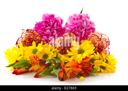 Bouquet de gerberas rouges, œillets et chrysanthèmes sur fond blanc Banque D'Images