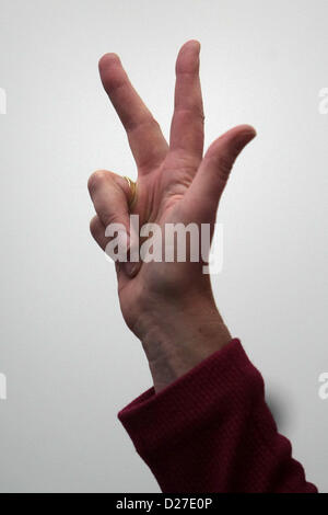 Mainz, Allemagne. 16 janvier 2013. Nouveau Premier Ministre de Rhénanie-Palatinat, Malu Dreyer, est sweared dans au le parlement de l'état à Mainz, Allemagne, 16 janvier 2013. L'ancien ministre de la santé de la Rhénanie-Palatinat Dreyer assume la fonction de Premier ministre Beck, qui a démissionné pour raisons de santé. Photo : ARNE DEDERT Banque D'Images