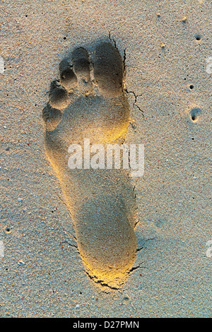 Empreinte dans le sable sur la plage, close-up Banque D'Images