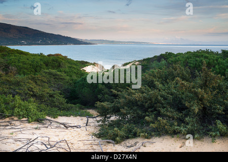 Punta Paloma, Tarifa, Costa de la Luz, Cadix, Andalousie, Espagne, Europe. Banque D'Images