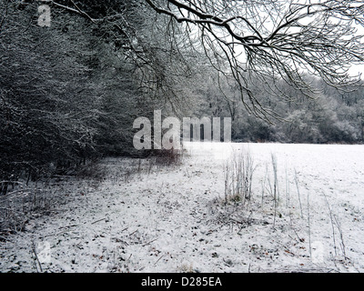 Le bord des bois dans la neige Cambridgeshire Banque D'Images