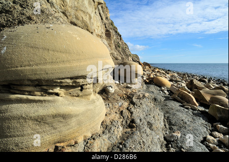 Les nodules arrondis sur plage à Osmington Mills viennent de la formation Bencliff Grit, Jurassic Coast, Dorset, dans le sud de l'Angleterre, Royaume-Uni Banque D'Images