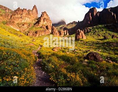 Une belle journée pour la randonnée dans les Superstition Mountains à l'est de Phoenix sur Siphon Tirer Trail. De l'Arizona. Le printemps. Banque D'Images