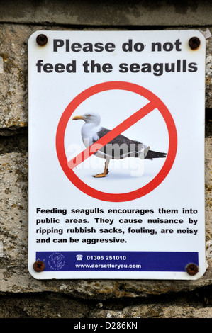 Veuillez ne pas nourrir les mouettes interdiction sign in harbour à Dorset, Angleterre, RU Banque D'Images