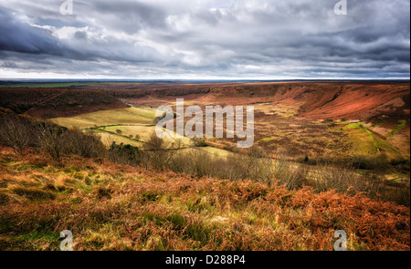 De Horcum trou entouré de fougères et de mourir en fleurs de bruyère dans le North York Moors, Goathland, Yorkshire, UK. Banque D'Images