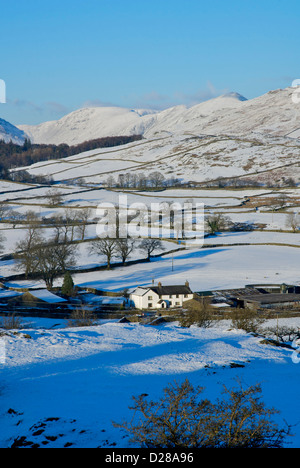 Causeway ferme, Woundale et la vallée de Troutbeck, vu de l'Orrest Head, Parc National de Lake District, Cumbria, Angleterre, Royaume-Uni Banque D'Images