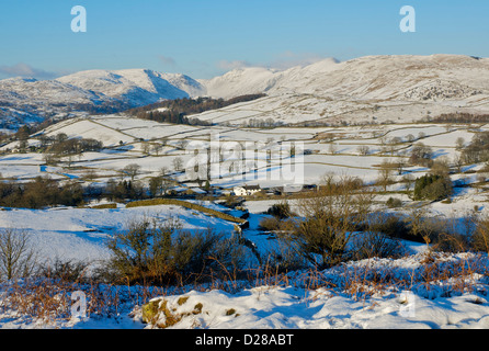 Causeway ferme, Woundale et la vallée de Troutbeck, vu de l'Orrest Head, Parc National de Lake District, Cumbria, Angleterre, Royaume-Uni Banque D'Images