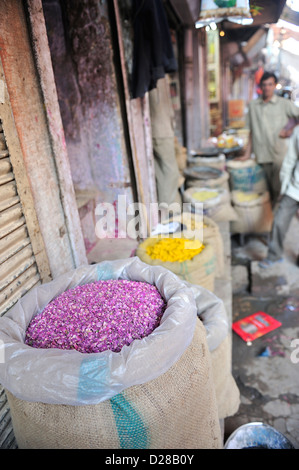 Épices à vendre dans la rues animées de Jodhpur, Rajasthan, Inde. Banque D'Images