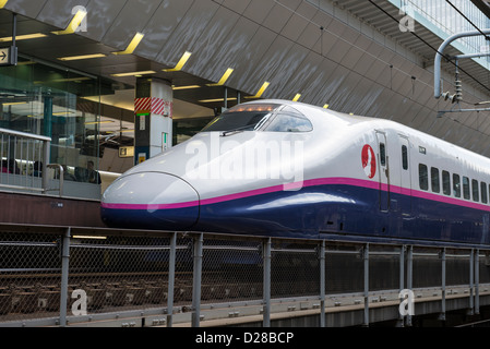 E2 Series bullet train Shinkansen de East Japan Railway Company dans la gare de Tokyo Banque D'Images