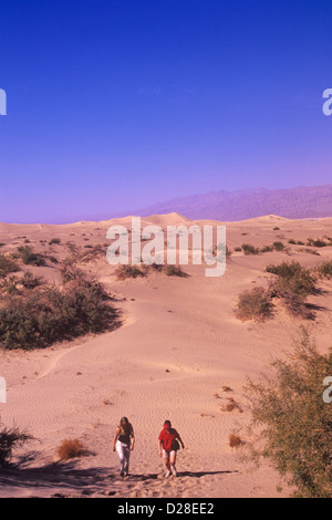 Une randonnée parmi les dunes de sable est un doit faire l'activité pour les visiteurs de la Death Valley National Park, California, USA. Banque D'Images