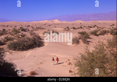 Une randonnée parmi les dunes de sable est un doit faire l'activité pour les visiteurs de la Death Valley National Park, California, USA. Banque D'Images